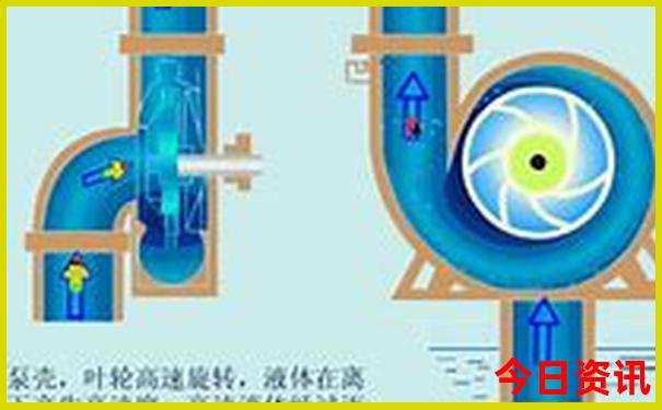 东营旅游景点排名前十